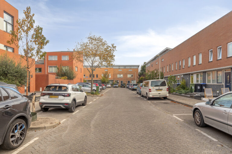 IJsvogel194617JMBergenopZoomNL 03